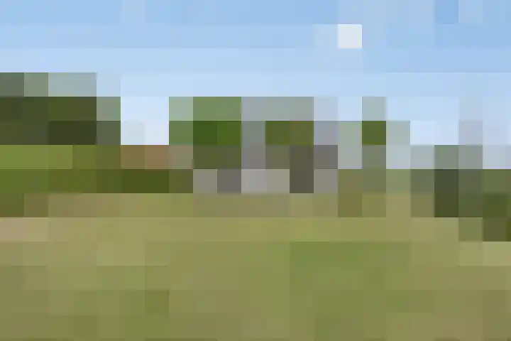 Walem 35 Walem thumbnail 43