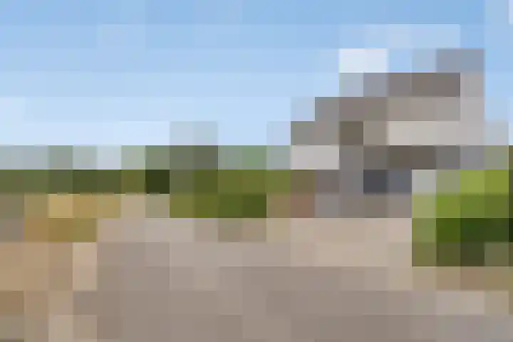 Walem 35 Walem thumbnail 45