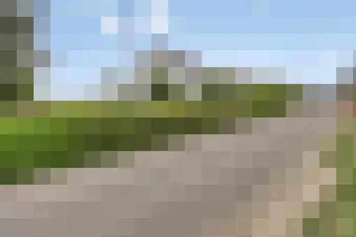 Walem 35 Walem thumbnail 46