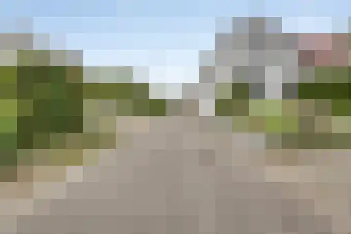 Walem 35 Walem thumbnail 47