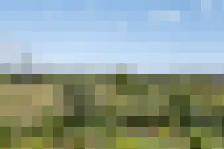 Walem 35 Walem thumbnail 48