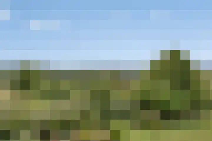 Walem 35 Walem thumbnail 49