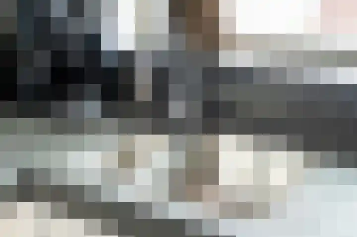 Walem 35 Walem thumbnail 5