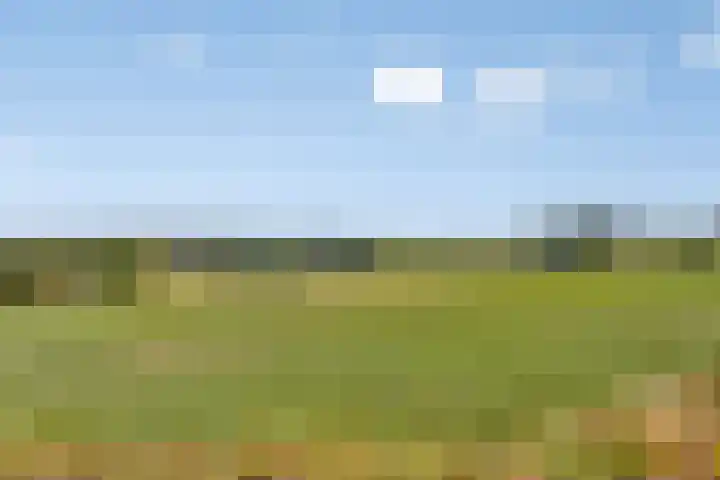 Walem 35 Walem thumbnail 50