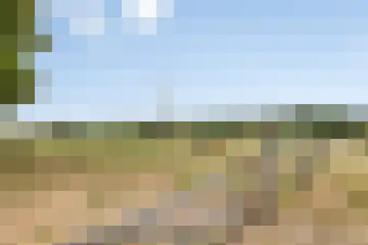 Walem 35 Walem thumbnail 51