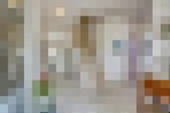 Walem 35 Walem thumbnail 6