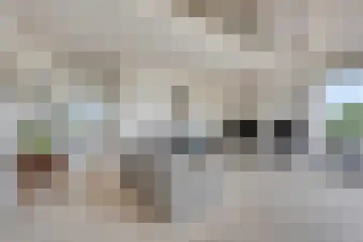 Walem 35 Walem thumbnail 9