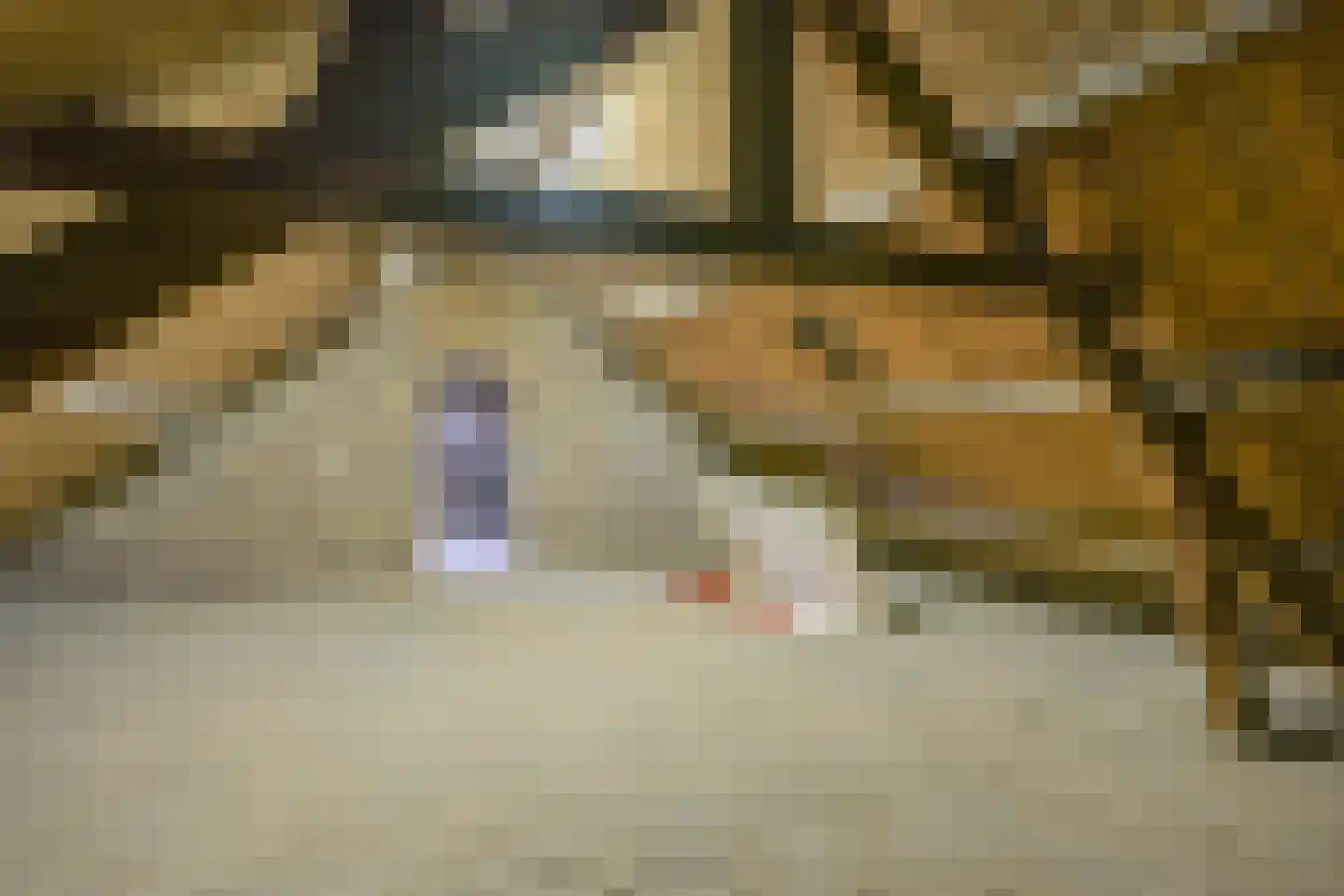 Walem 4 Walem thumbnail 22