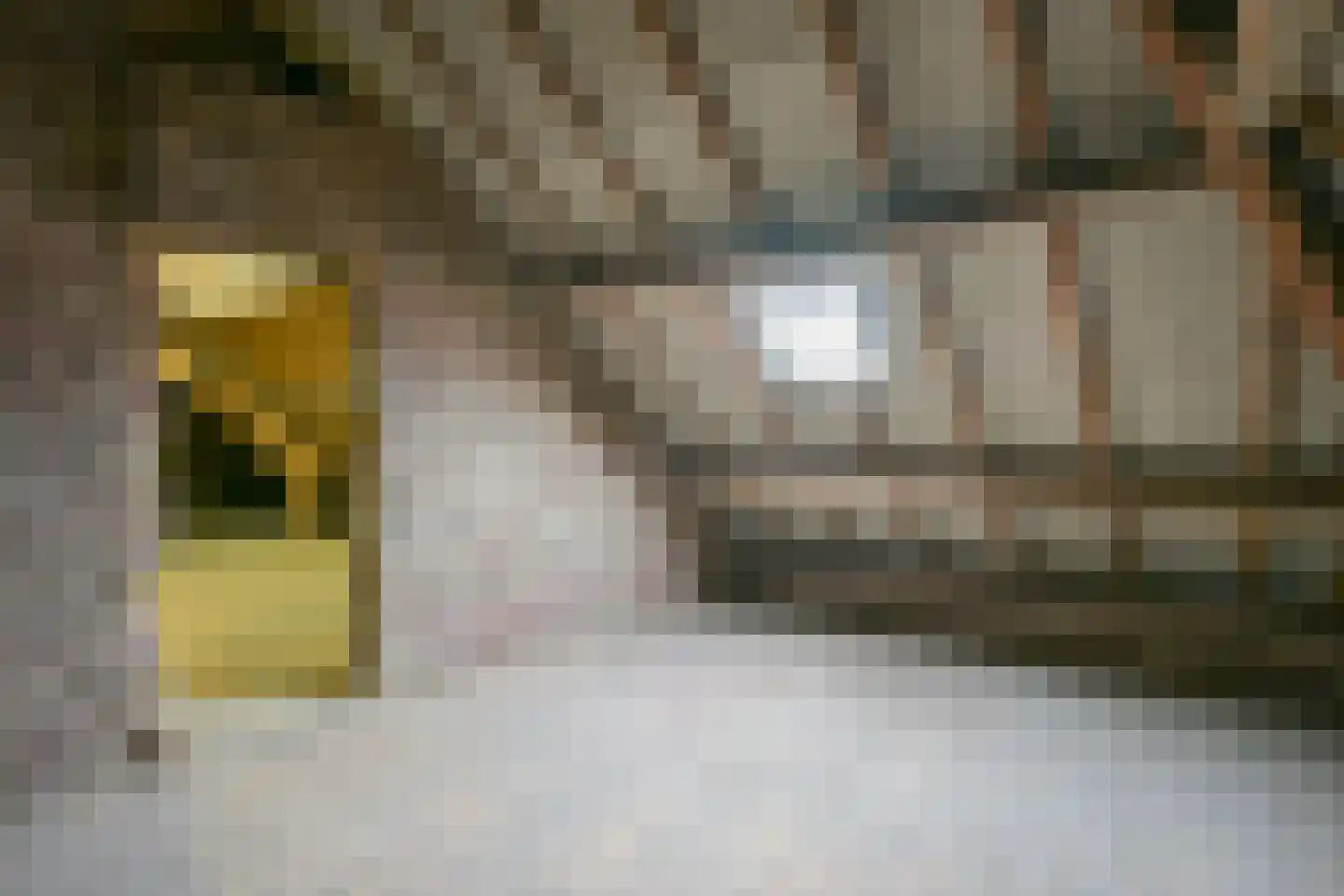 Walem 4 Walem thumbnail 23