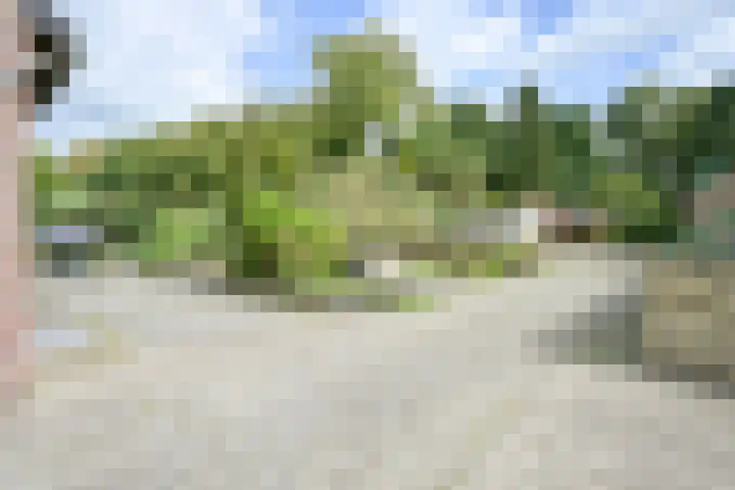 Walem 4 Walem thumbnail 41
