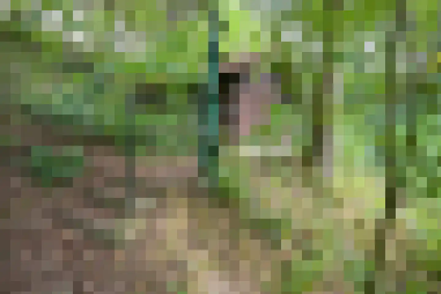 Walem 4 Walem thumbnail 44