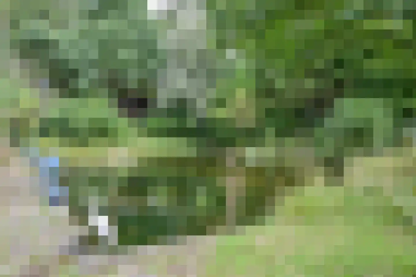 Walem 4 Walem thumbnail 46