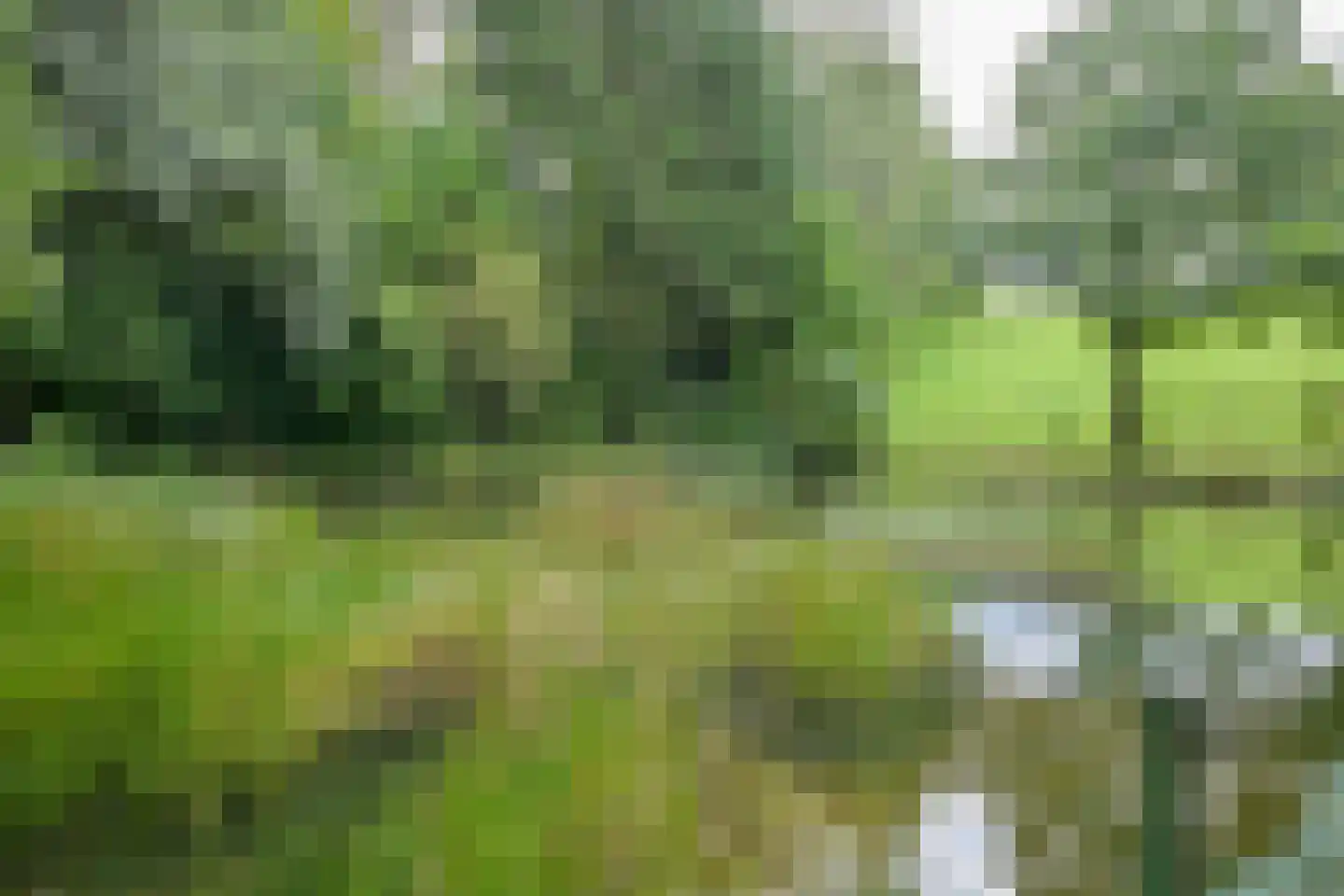 Walem 4 Walem thumbnail 48