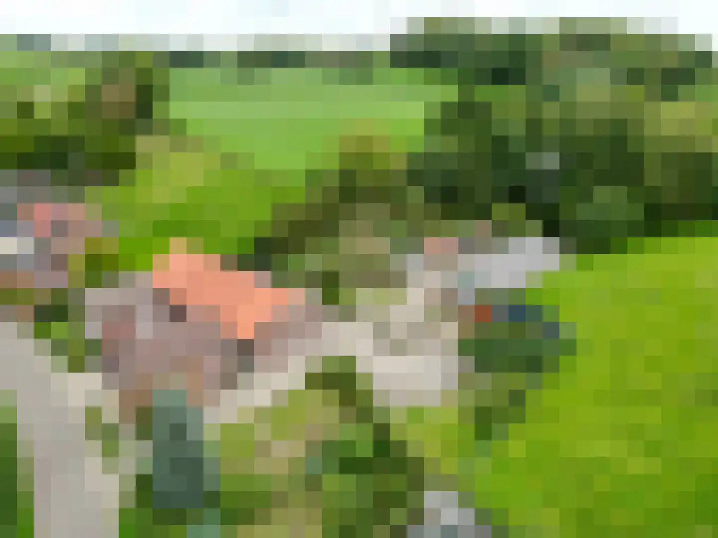 Walem 4 Walem thumbnail 53