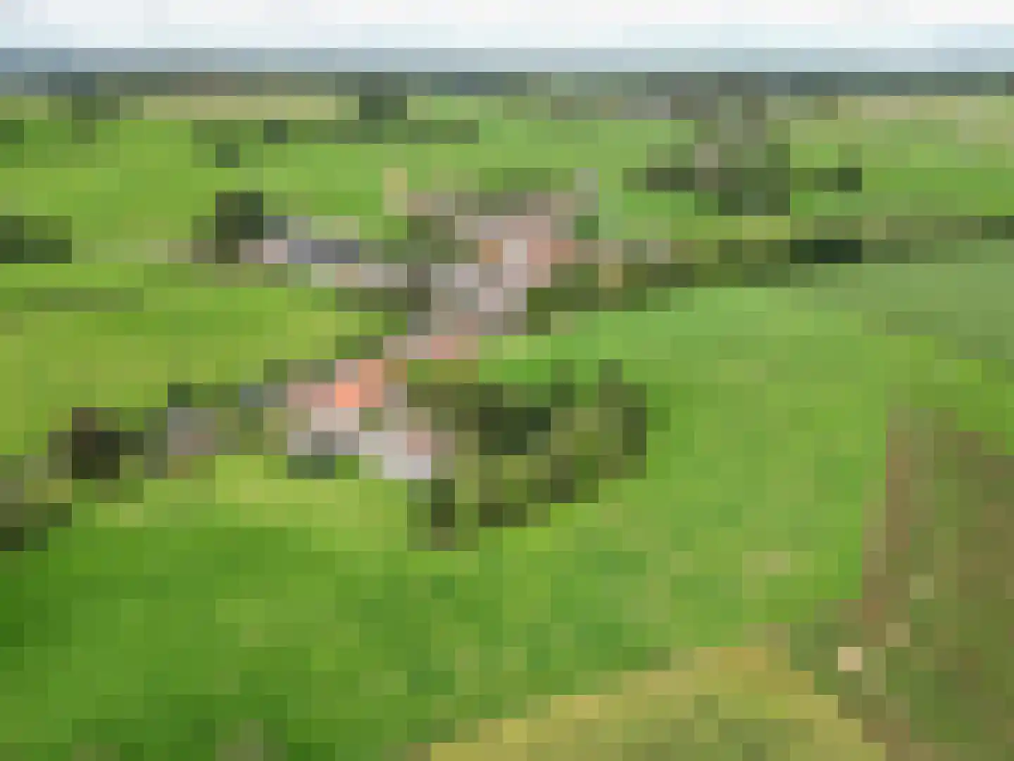 Walem 4 Walem thumbnail 54