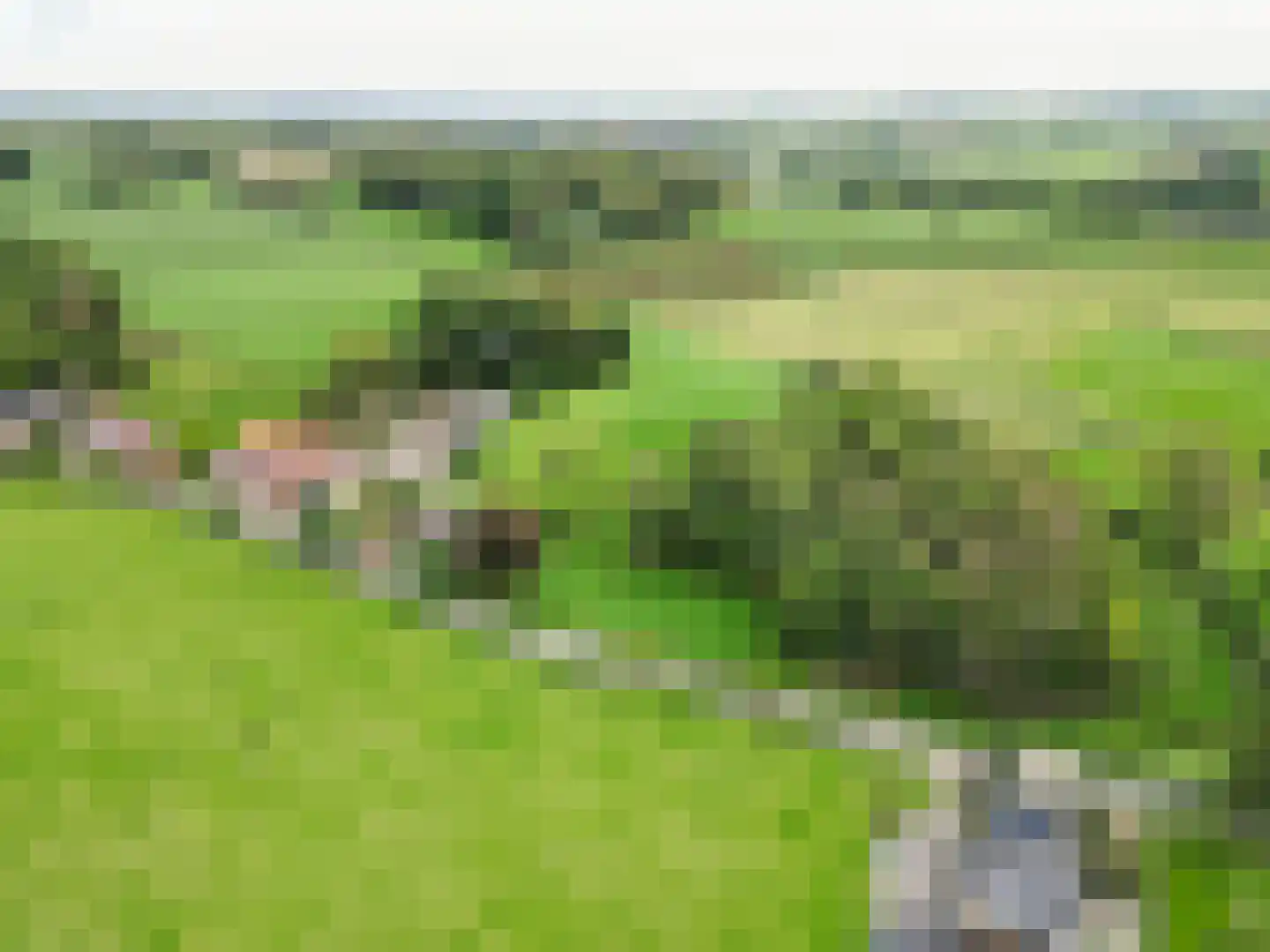 Walem 4 Walem thumbnail 55