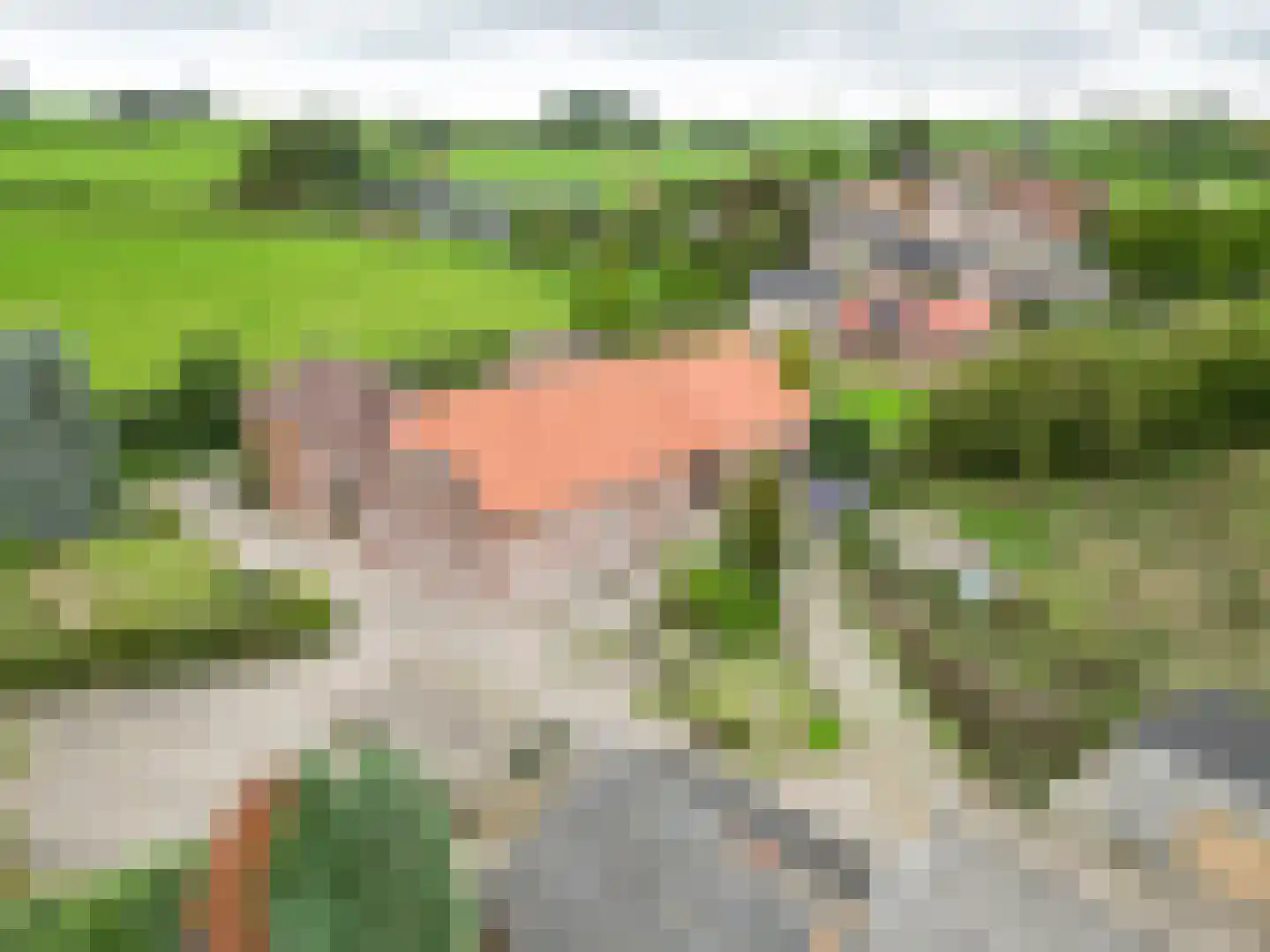 Walem 4 Walem thumbnail 56