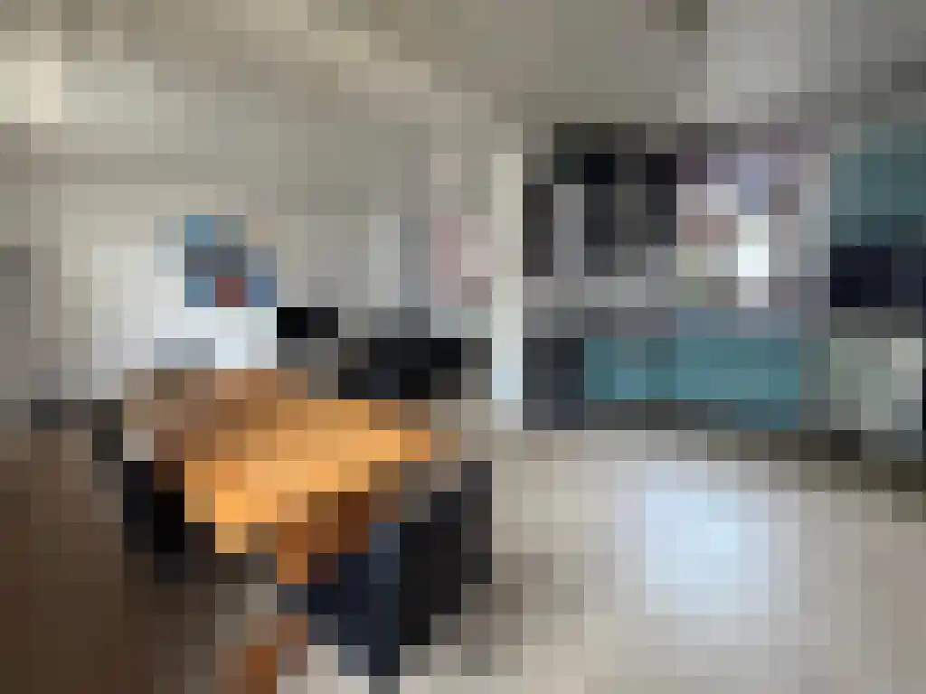 Walem 55 Walem thumbnail 6