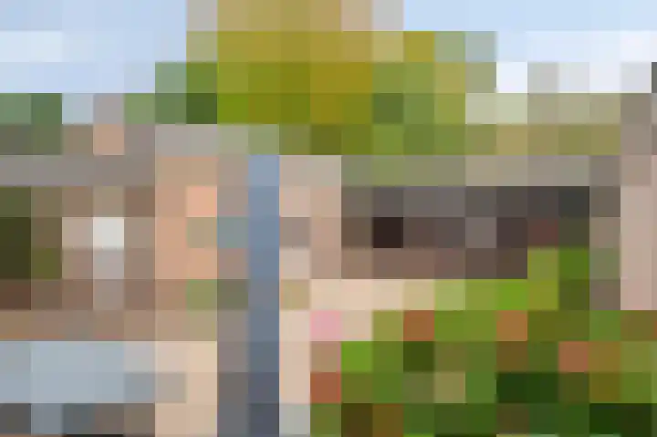Walem 6 B Walem thumbnail 19