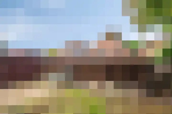 Walem 6 B Walem thumbnail 21