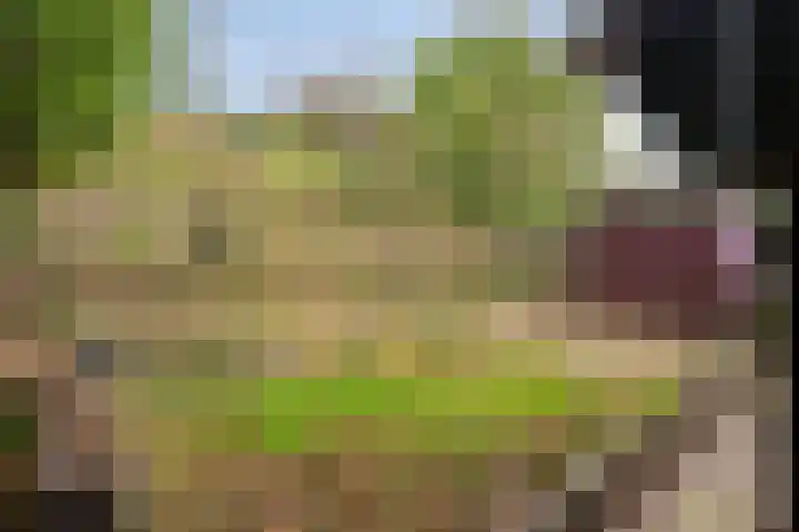 Walem 6 B Walem thumbnail 22