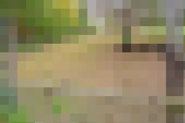 Walem 6 B Walem thumbnail 23