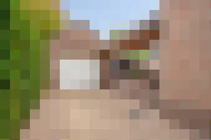 Walem 6 B Walem thumbnail 25