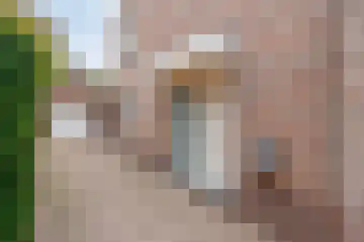 Walem 6 B Walem thumbnail 4