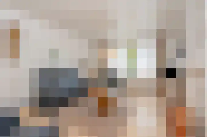 Walem 6 B Walem thumbnail 9