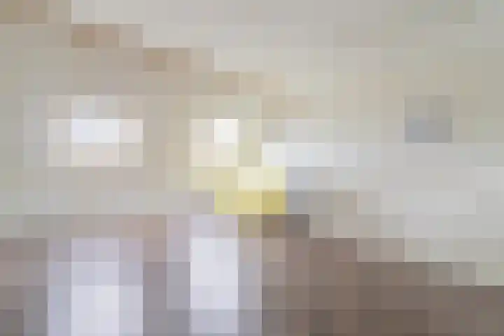 Walenburg 10 Amstelveen thumbnail 22