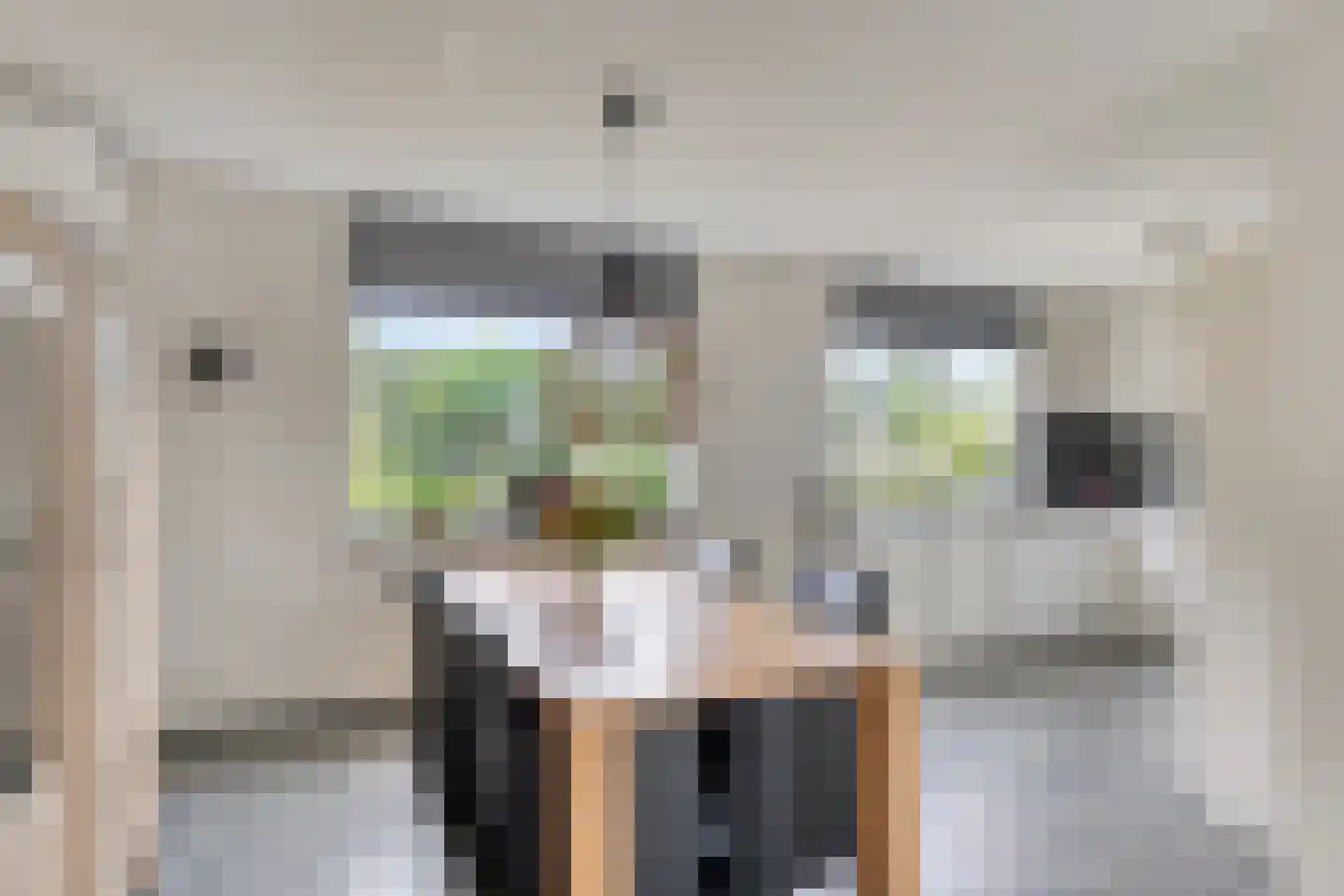 Walenburg 13 Veenendaal thumbnail 17