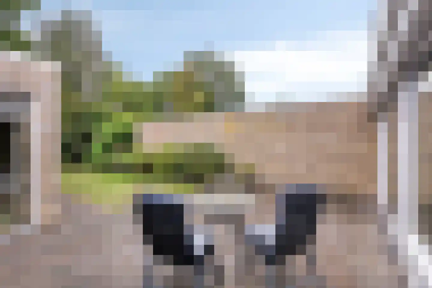 Walenburg 13 Veenendaal thumbnail 39