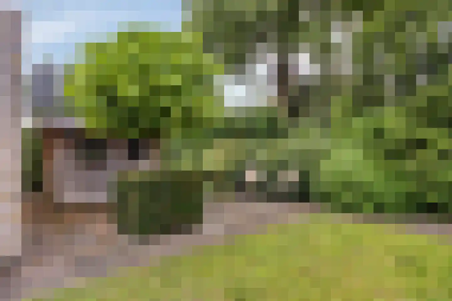 Walenburg 13 Veenendaal thumbnail 40