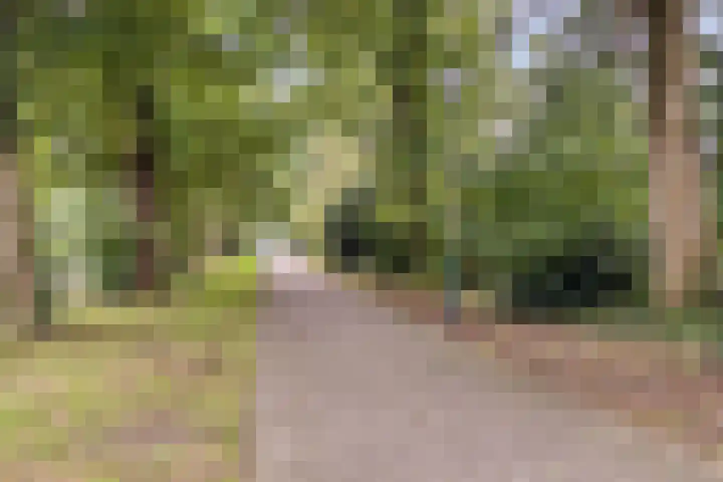 Walenburg 13 Veenendaal thumbnail 45