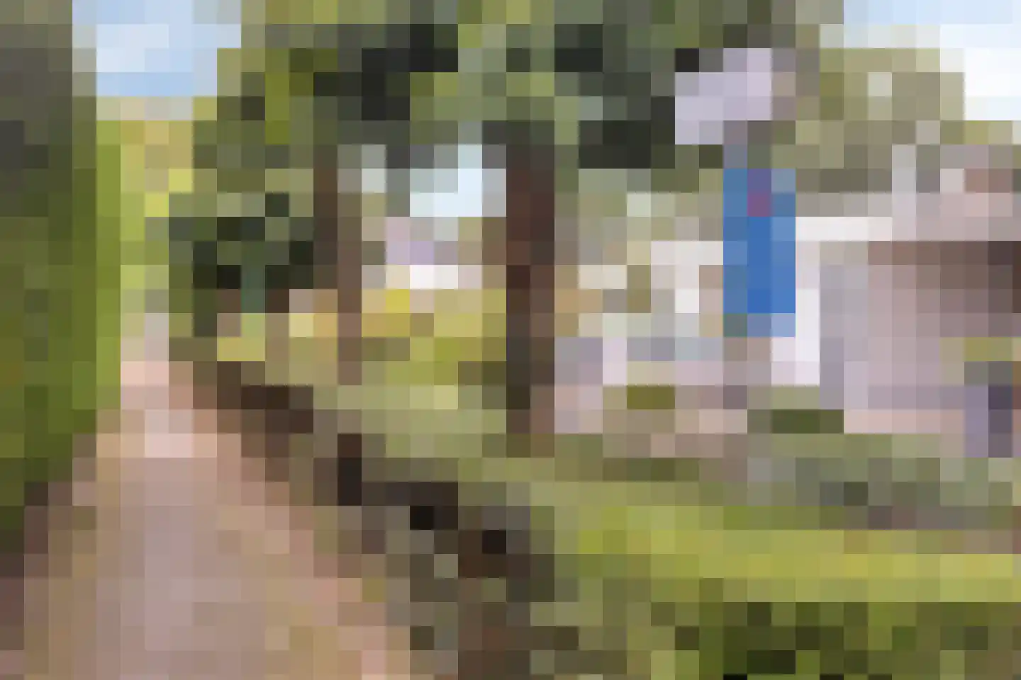 Walenburg 13 Veenendaal thumbnail 46