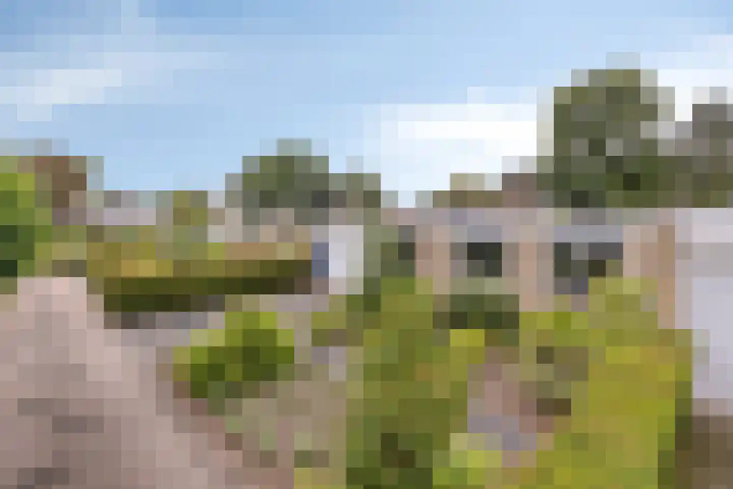Walenburg 13 Veenendaal thumbnail 7