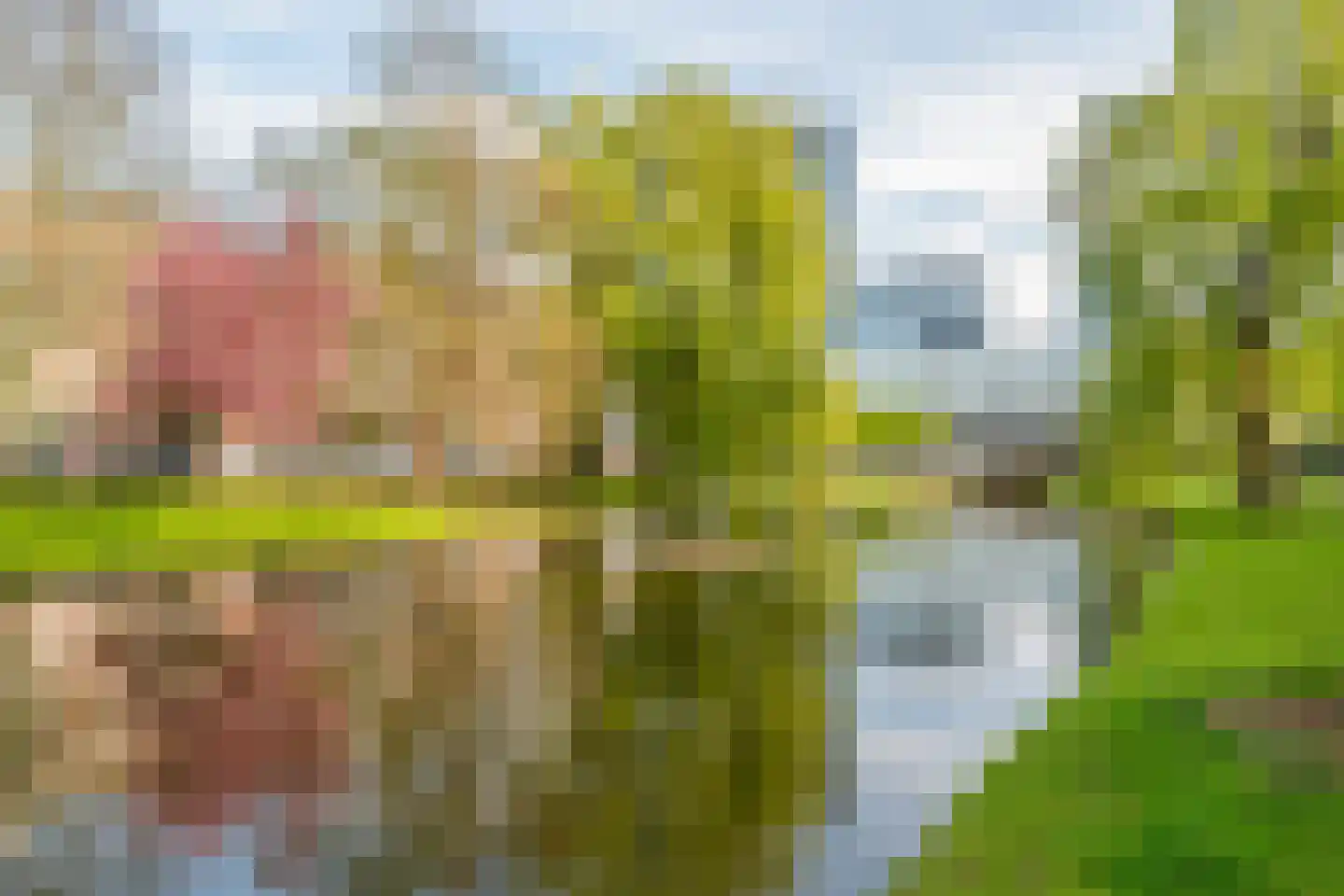 Walenburgerplein 12 Rotterdam thumbnail 23