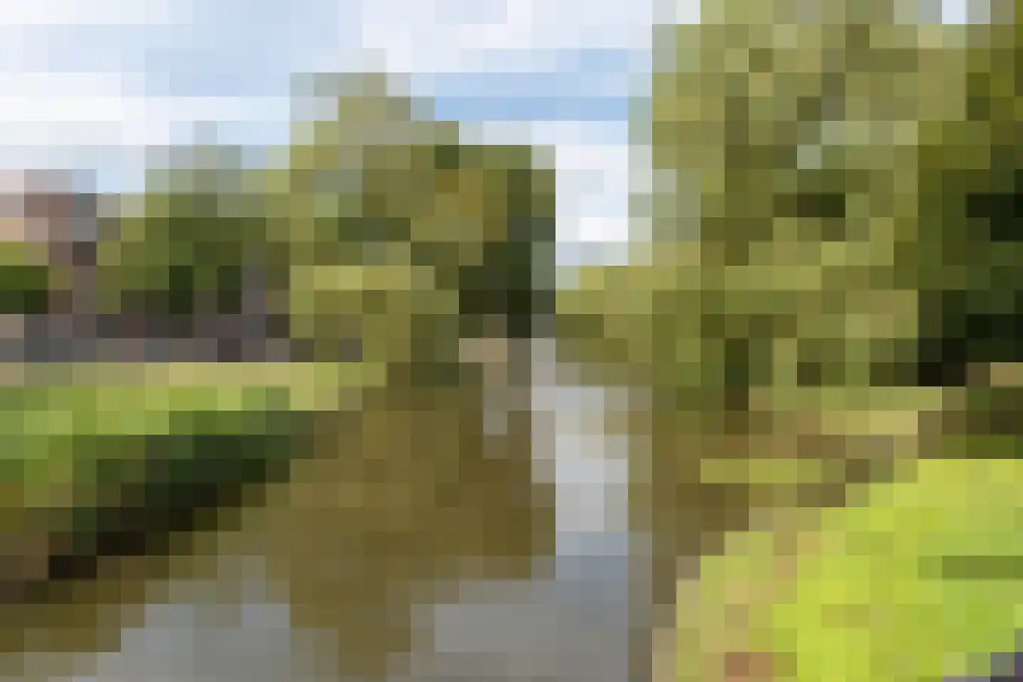 Walenburgerplein 12 Rotterdam thumbnail 24