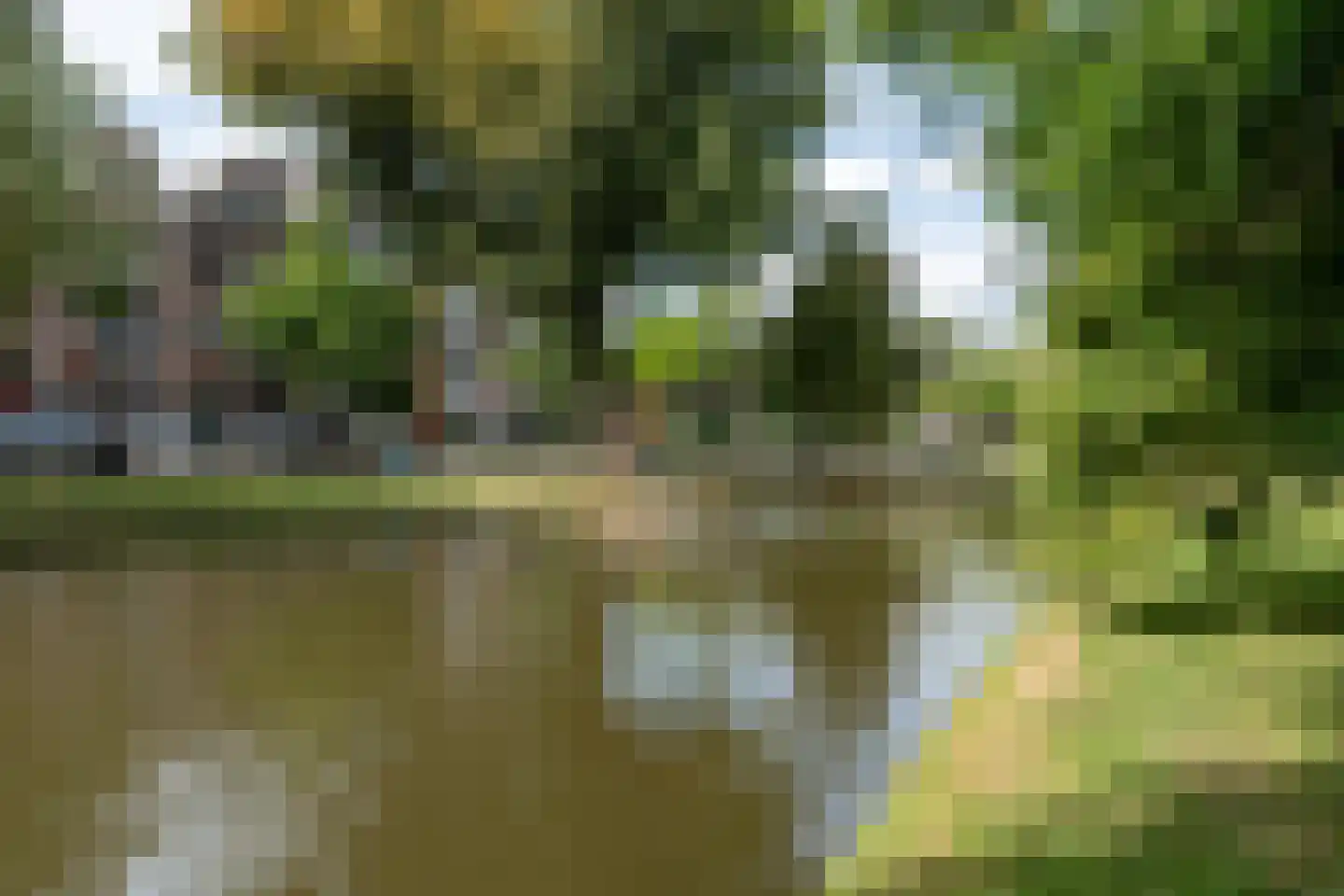 Walenburgerplein 12 Rotterdam thumbnail 25
