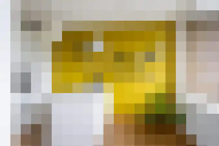 Walenburgerplein 32 Rotterdam thumbnail 10