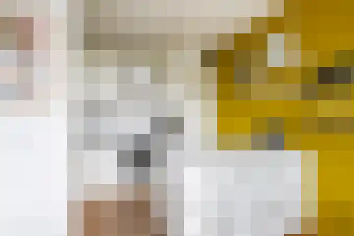 Walenburgerplein 32 Rotterdam thumbnail 11