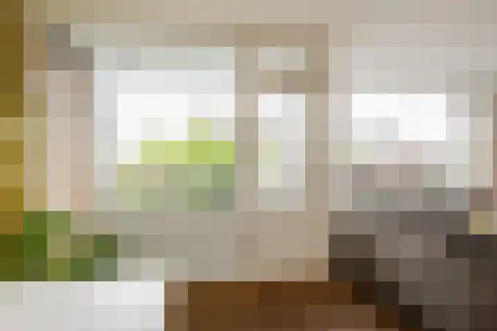 Walenburgerplein 32 Rotterdam thumbnail 13