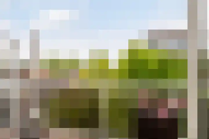 Walenburgerplein 32 Rotterdam thumbnail 14