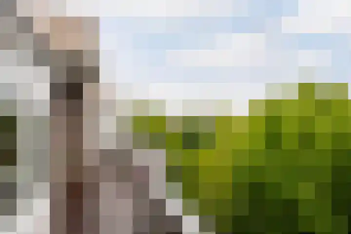 Walenburgerplein 32 Rotterdam thumbnail 15