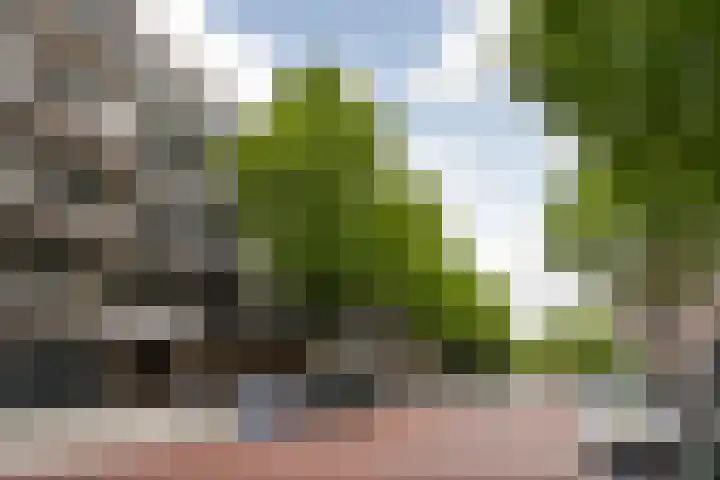 Walenburgerplein 32 Rotterdam thumbnail 28
