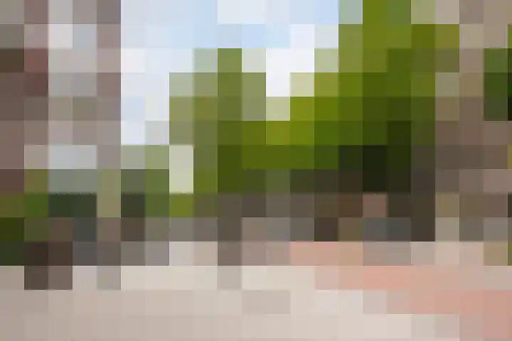 Walenburgerplein 32 Rotterdam thumbnail 29