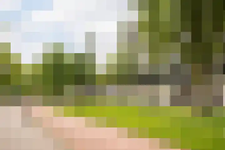 Walenburgerplein 32 Rotterdam thumbnail 30