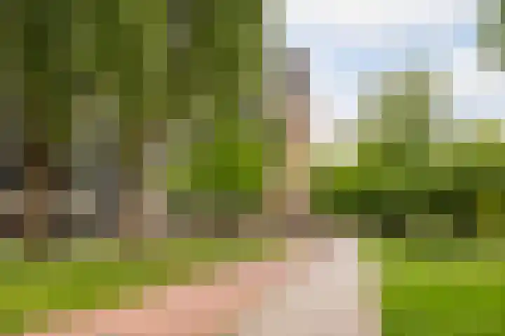 Walenburgerplein 32 Rotterdam thumbnail 31