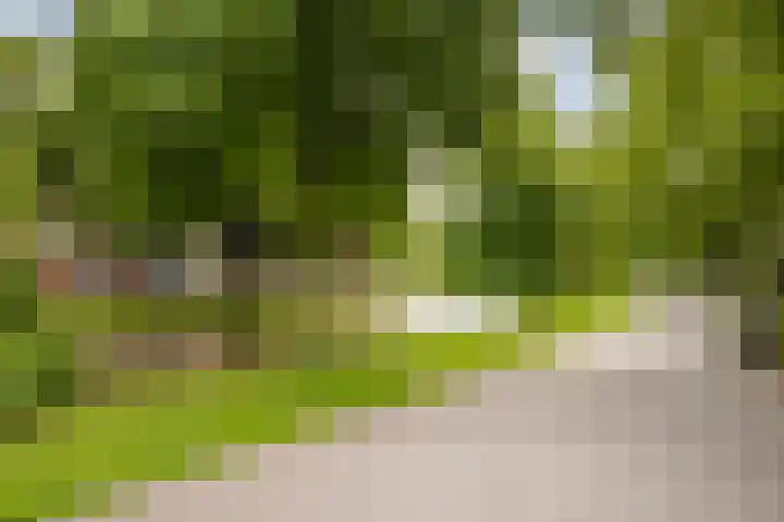 Walenburgerplein 32 Rotterdam thumbnail 32