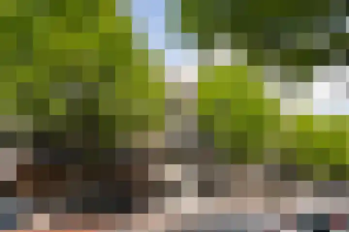 Walenburgerplein 32 Rotterdam thumbnail 4